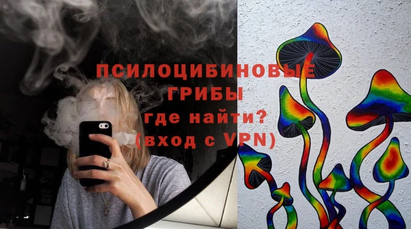 стафф Богданович